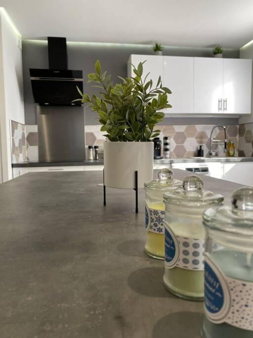 T2 - Secteur Pech David - Wifi - Climatisation Apartment Тулуза Екстериор снимка